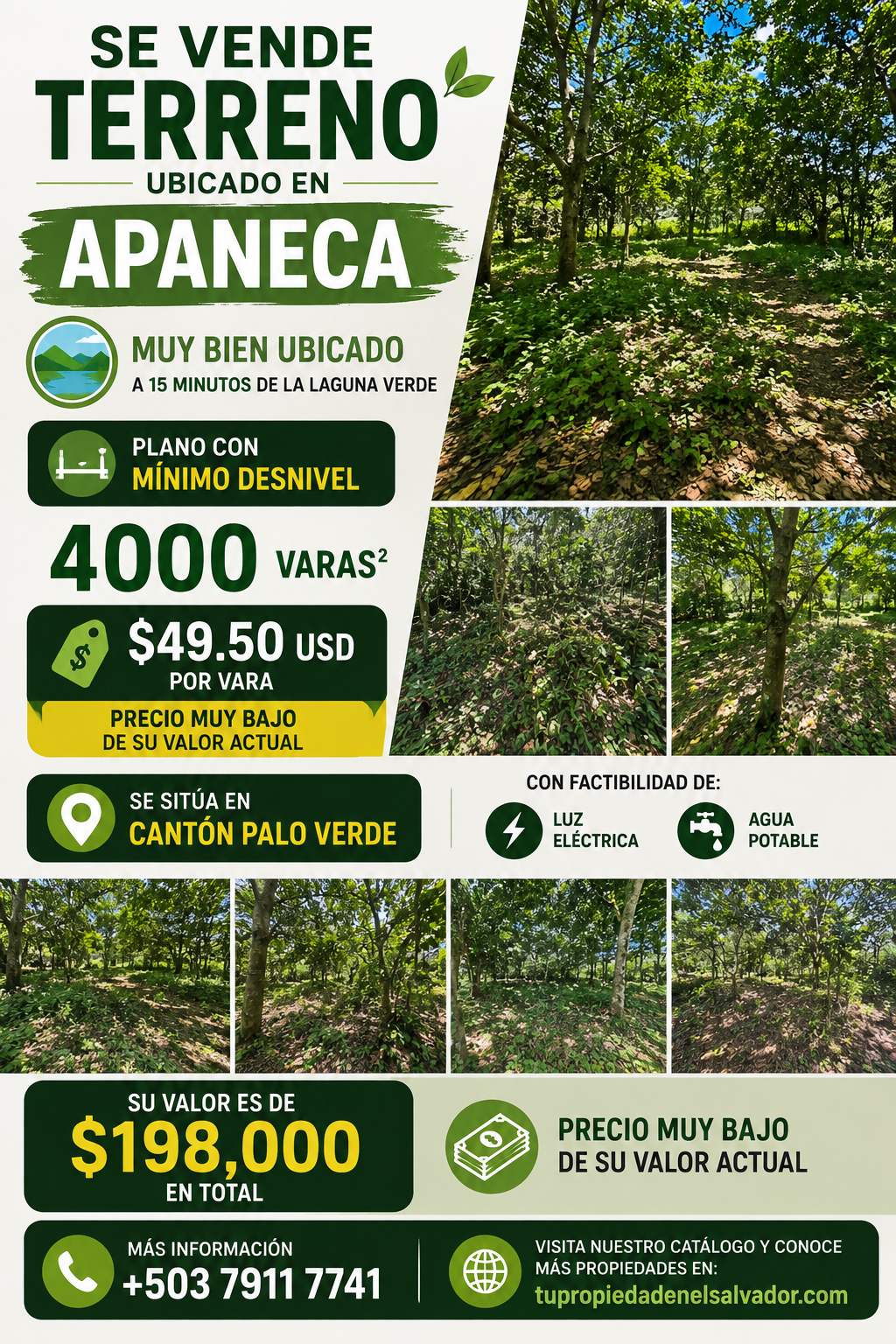 Terreno de 4,000 varas² en venta en Apaneca, Cantón Palo Verde – A 15 minutos de Laguna Verde