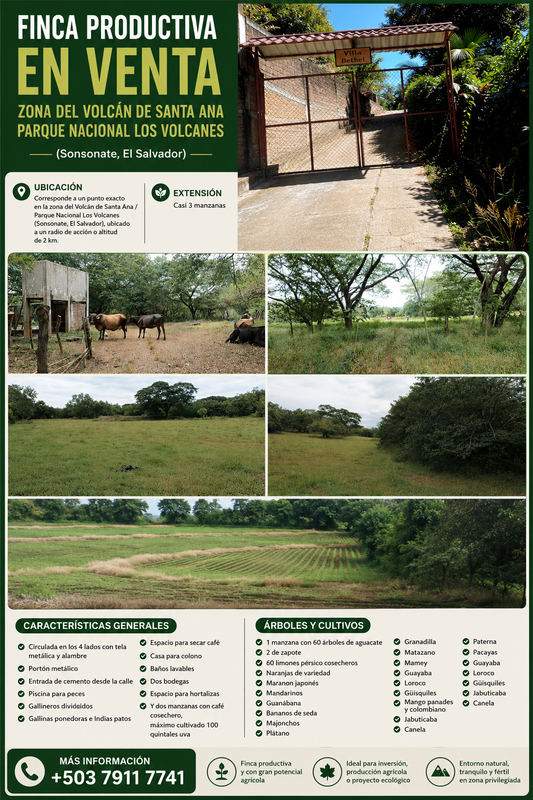 Finca Productiva en Venta | Zona del Volcán de Santa Ana