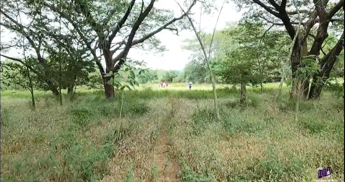 Finca Productiva en Venta | Zona del Volcán de Santa Ana