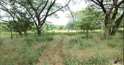 Finca Productiva en Venta | Zona del Volcán de Santa Ana