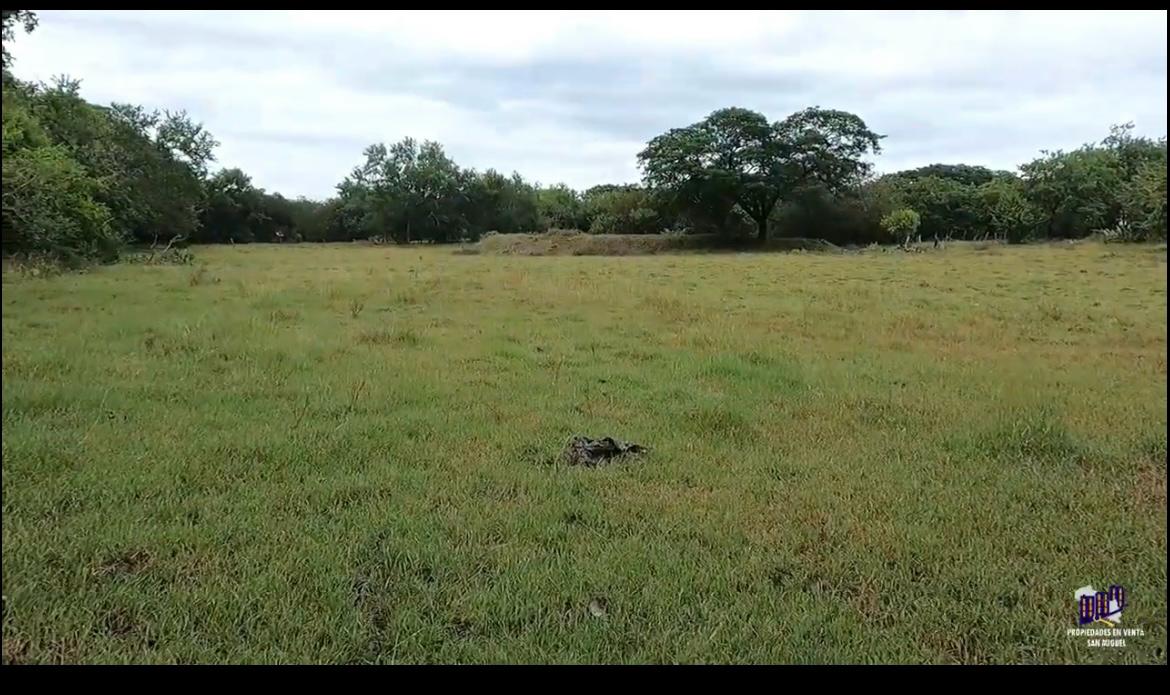Finca Productiva en Venta | Zona del Volcán de Santa Ana