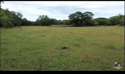 Finca Productiva en Venta | Zona del Volcán de Santa Ana