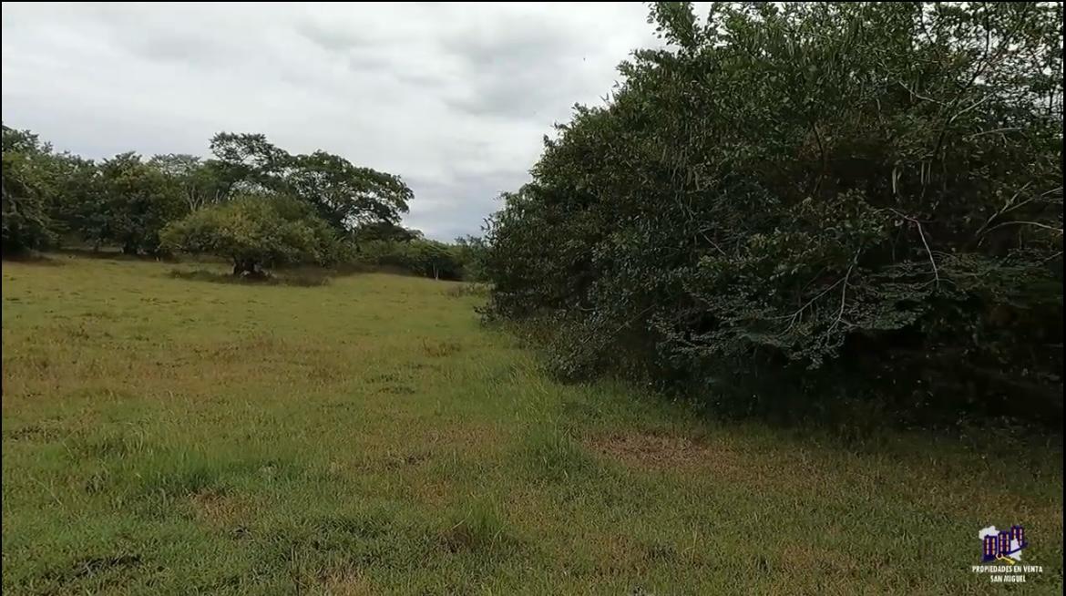 Finca Productiva en Venta | Zona del Volcán de Santa Ana