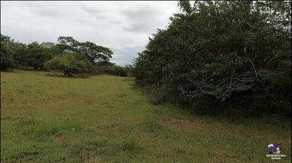 Finca Productiva en Venta | Zona del Volcán de Santa Ana
