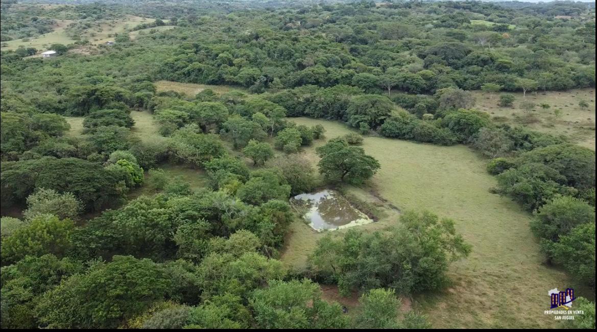 Finca Productiva en Venta | Zona del Volcán de Santa Ana