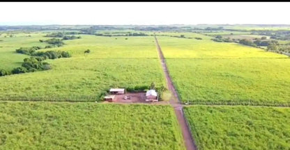 350 Manzanas de Caña en Venta en Sonsonate – Calle Litoral
