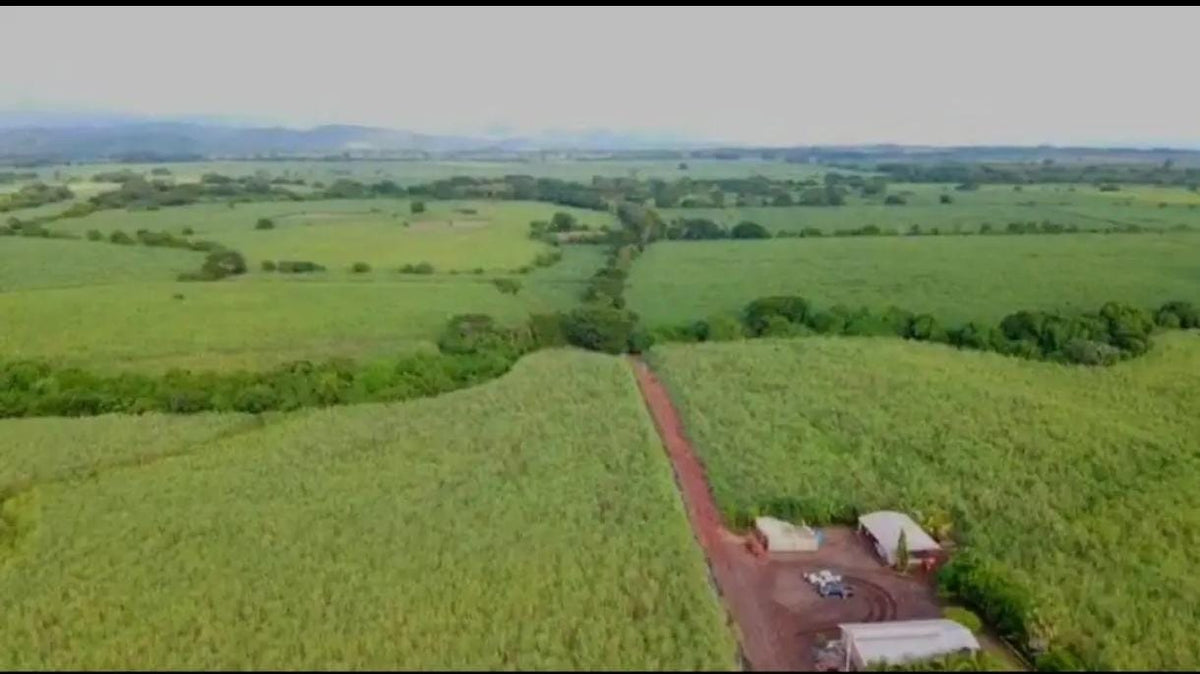 350 Manzanas de Caña en Venta en Sonsonate – Calle Litoral