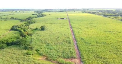 350 Manzanas de Caña en Venta en Sonsonate – Calle Litoral