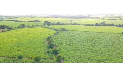 350 Manzanas de Caña en Venta en Sonsonate – Calle Litoral