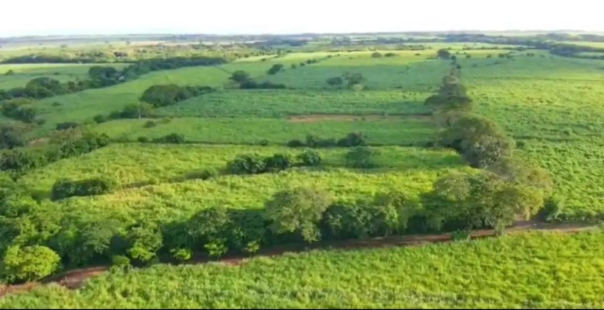 350 Manzanas de Caña en Venta en Sonsonate – Calle Litoral