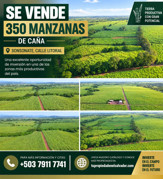 350 Manzanas de Caña en Venta en Sonsonate – Calle Litoral