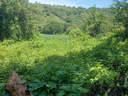 1350 Manzanas en Venta en Usulután – Tierra con Agua y Alto Potencial de Desarrollo