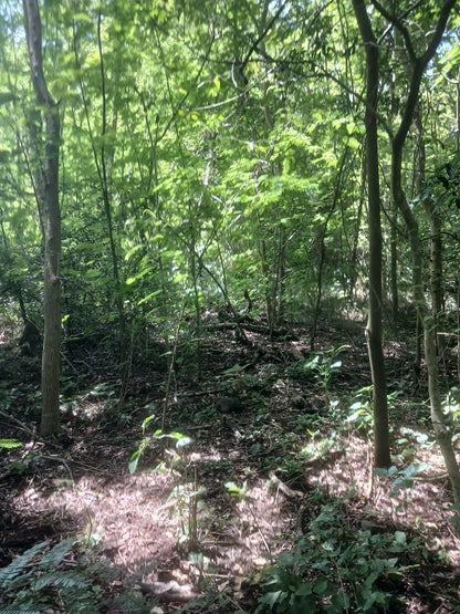 1350 Manzanas en Venta en Usulután – Tierra con Agua y Alto Potencial de Desarrollo