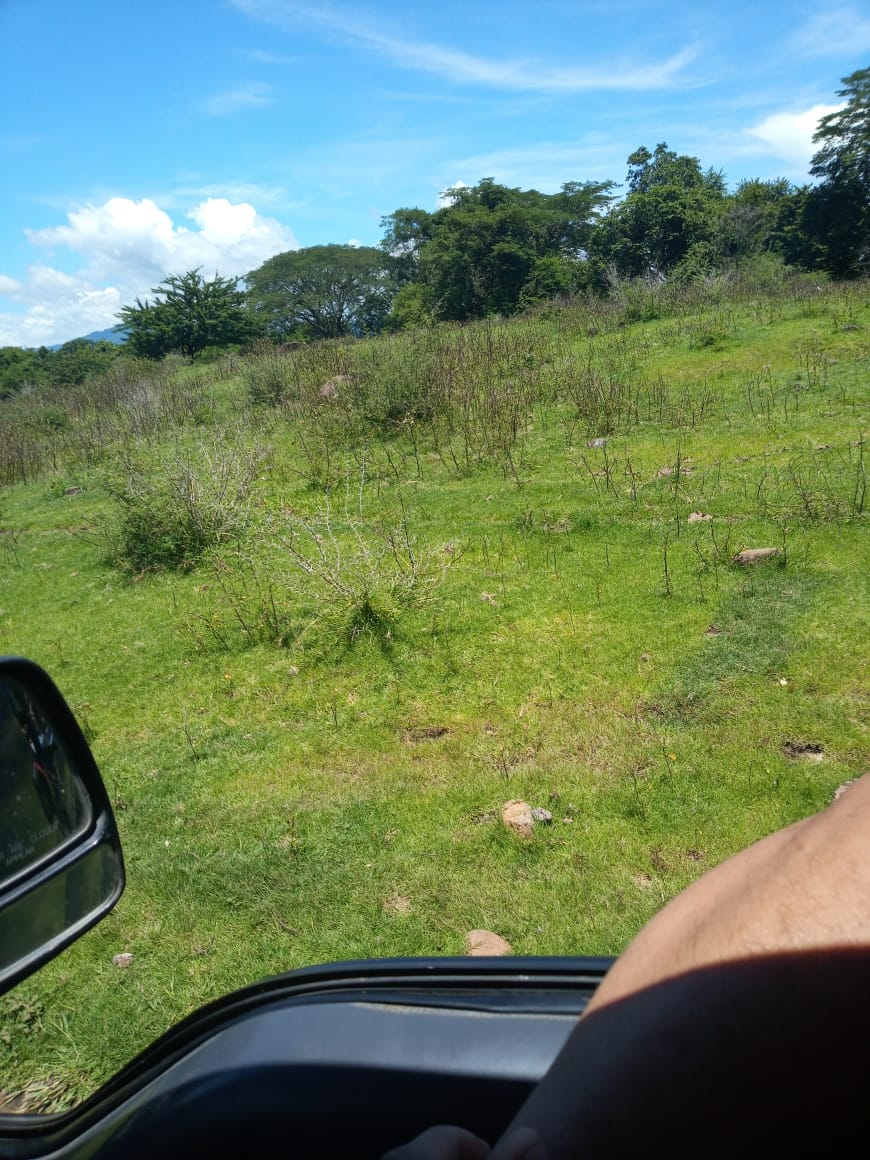 Terreno en Venta – 530 Manzanas en Santa Clara, San Vicente