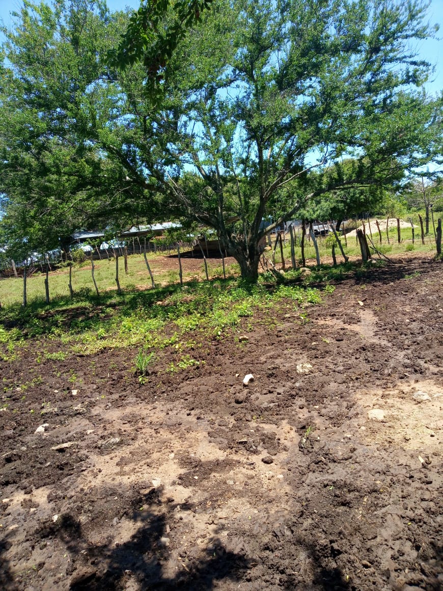 Terreno en Venta – 530 Manzanas en Santa Clara, San Vicente