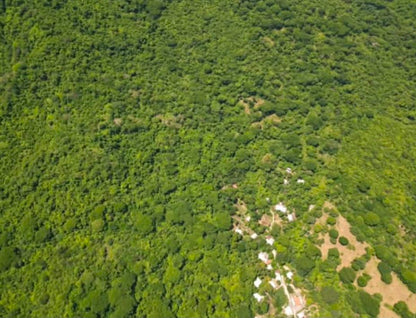 105 Manzanas de Tierra Blanca en Venta en Santiago Nonualco – $6,000 por Manzana