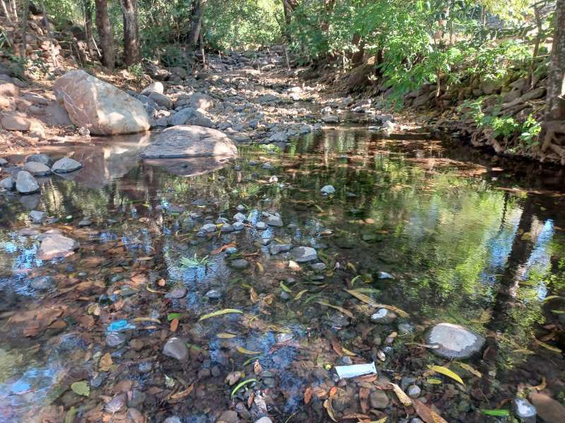 GANGA, Gran Oportunidad de Inversión: Terreno Agrícola de 215 Manzanas en San Vicente