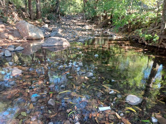GANGA, Gran Oportunidad de Inversión: Terreno Agrícola de 215 Manzanas en San Vicente