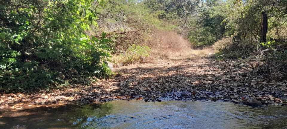 GANGA, Gran Oportunidad de Inversión: Terreno Agrícola de 215 Manzanas en San Vicente
