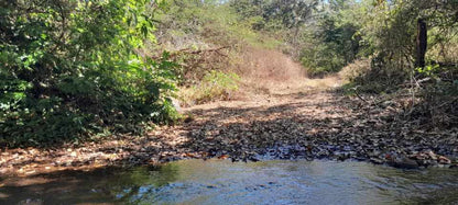 GANGA, Gran Oportunidad de Inversión: Terreno Agrícola de 215 Manzanas en San Vicente