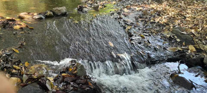 GANGA, Gran Oportunidad de Inversión: Terreno Agrícola de 215 Manzanas en San Vicente