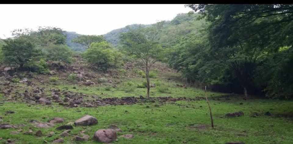 GANGA, Gran Oportunidad de Inversión: Terreno Agrícola de 215 Manzanas en San Vicente
