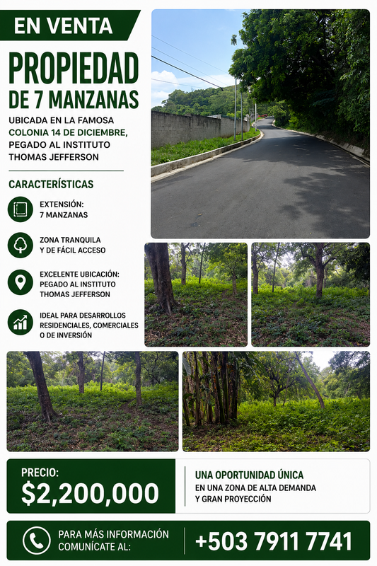 Terreno de 7 Manzanas en Venta | Colonia 14 de Diciembre