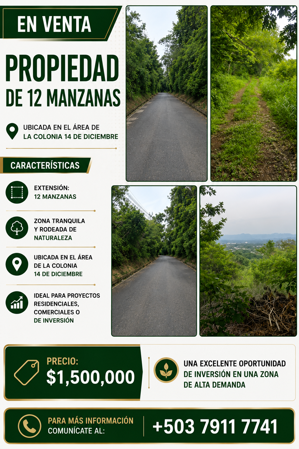 Propiedad de 12 Manzanas en Venta – Colonia 14 de Diciembre