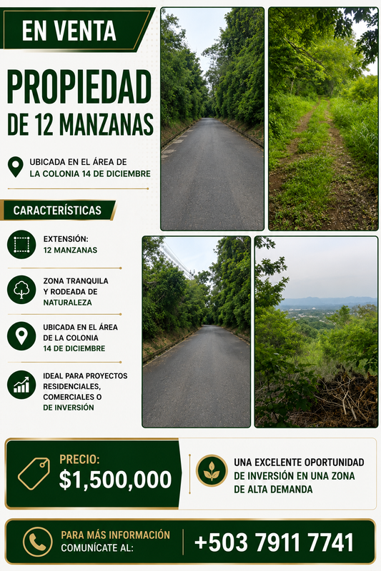 Propiedad de 12 Manzanas en Venta – Colonia 14 de Diciembre