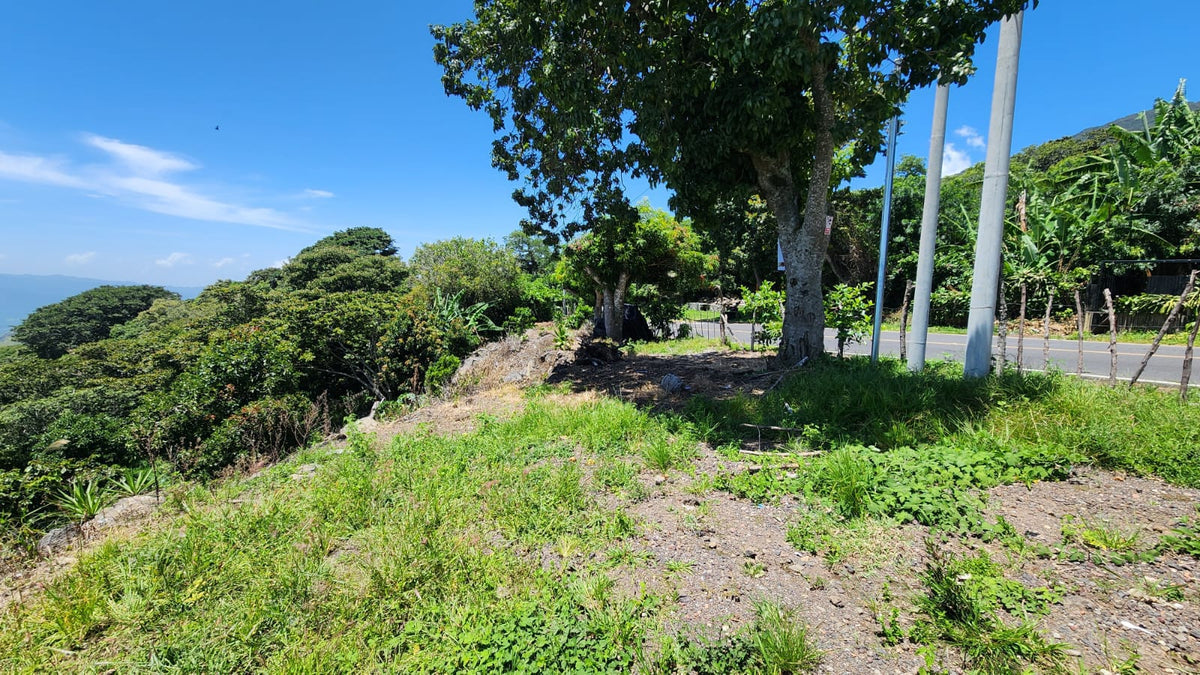 Terreno en Venta sobre Calle al Cerro Verde con Vista al Lago de Coatepeque