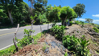 Terreno en Venta sobre Calle al Cerro Verde con Vista al Lago de Coatepeque