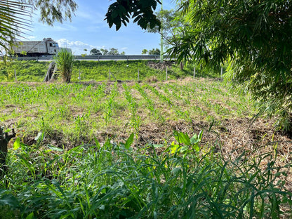 Terreno Estratégico en Venta Frente al Boulevard Claudia Lars | Ideal para Inversión y Desarrollo Comercial