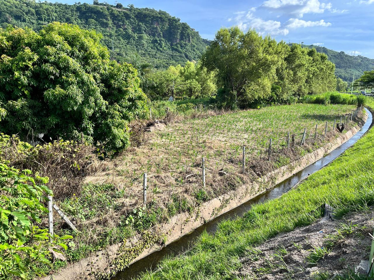 Terreno Estratégico en Venta Frente al Boulevard Claudia Lars | Ideal para Inversión y Desarrollo Comercial