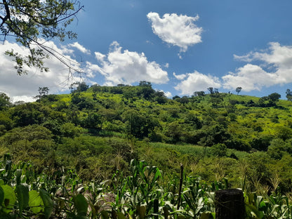 Finca Productiva de 150 Manzanas en Venta | A 3 km de Ataco | Agua Permanente y Cultivos Establecidos
