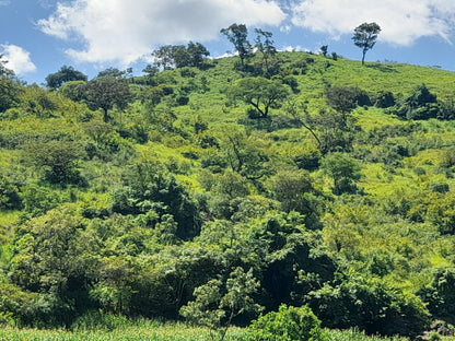 Finca Productiva de 150 Manzanas en Venta | A 3 km de Ataco | Agua Permanente y Cultivos Establecidos