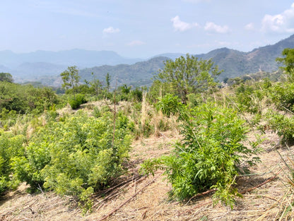 Finca Productiva de 150 Manzanas en Venta | A 3 km de Ataco | Agua Permanente y Cultivos Establecidos