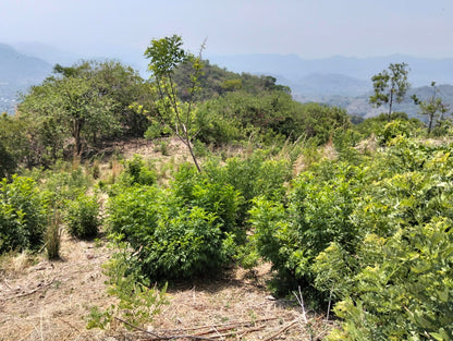Finca Productiva de 150 Manzanas en Venta | A 3 km de Ataco | Agua Permanente y Cultivos Establecidos