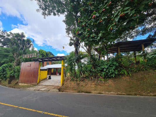 Finca en Venta en Jayaque, La Libertad | 39,000 Varas² con Cultivo de Café y Acceso a Orilla de Calle