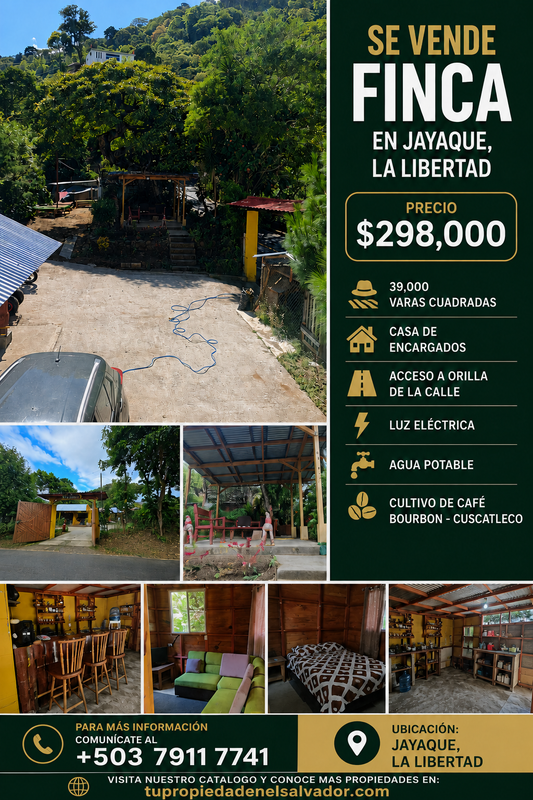 Finca en Venta en Jayaque, La Libertad | 39,000 Varas² con Cultivo de Café y Acceso a Orilla de Calle