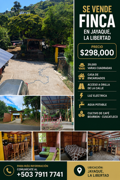 Finca en Venta en Jayaque, La Libertad | 39,000 Varas² con Cultivo de Café y Acceso a Orilla de Calle