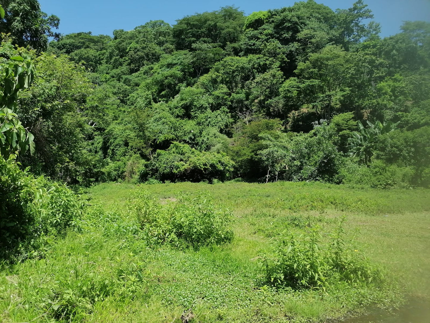 12 Manzanas en Venta en Talnique, La Libertad – Terreno con Acceso a Agua y Cultivo de Maíz