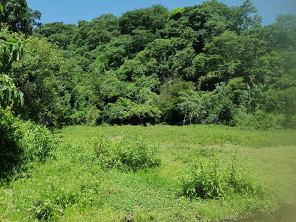12 Manzanas en Venta en Talnique, La Libertad – Terreno con Acceso a Agua y Cultivo de Maíz