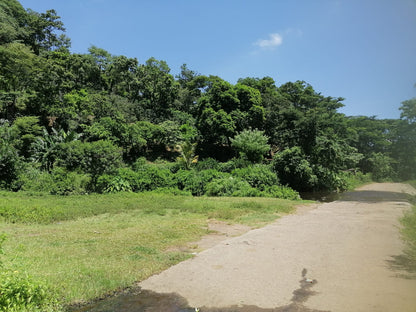 12 Manzanas en Venta en Talnique, La Libertad – Terreno con Acceso a Agua y Cultivo de Maíz