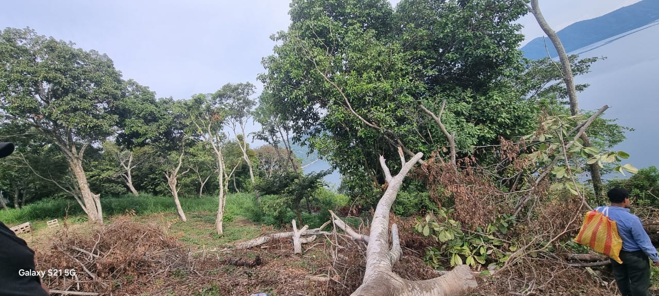 Terreno Semiplano con Espectacular Vista al Lago de Coatepeque – Cantón Flor Amarilla