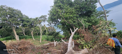 Terreno Semiplano con Espectacular Vista al Lago de Coatepeque – Cantón Flor Amarilla