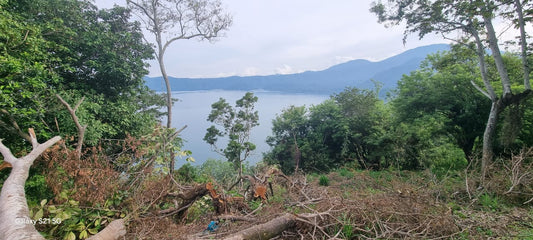 Terreno Semiplano con Espectacular Vista al Lago de Coatepeque – Cantón Flor Amarilla
