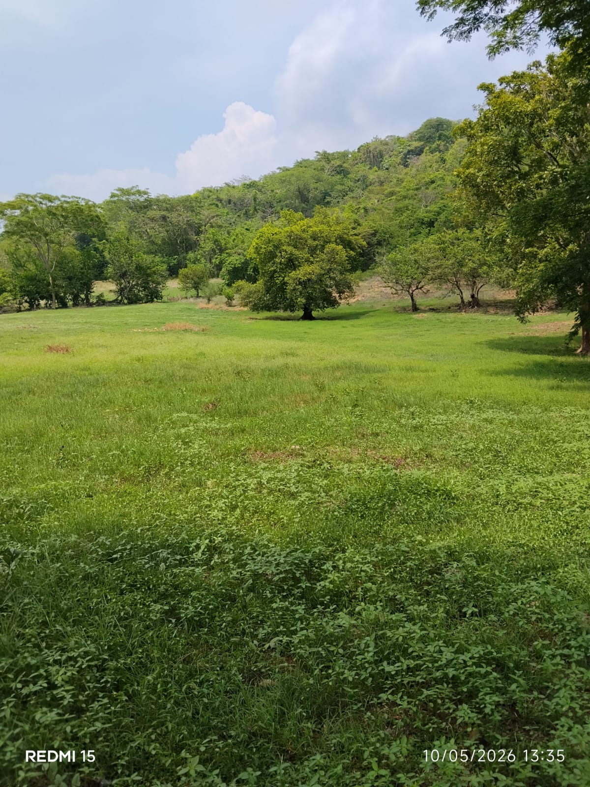 Venta de 183 Manzanas de Terreno Rústico en Apamcoyo, Sonsonate