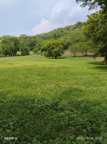 Venta de 183 Manzanas de Terreno Rústico en Apamcoyo, Sonsonate