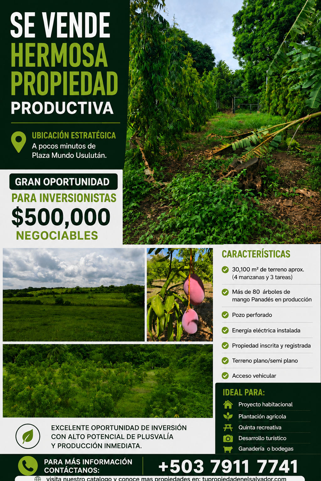GRAN OPORTUNIDAD PARA INVERSIONISTAS | AMPLIA PROPIEDAD CON ALTO POTENCIAL DE DESARROLLO