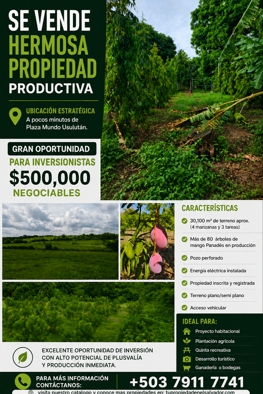 GRAN OPORTUNIDAD PARA INVERSIONISTAS | AMPLIA PROPIEDAD CON ALTO POTENCIAL DE DESARROLLO
